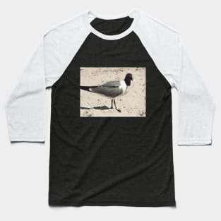 Beautiful photograph of a funny seagull Baseball T-Shirt